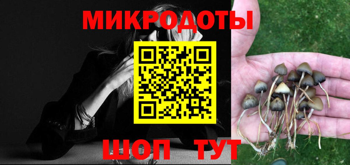 Верхняя Пышма  Псилоцибиновые грибы мухоморы  Псилоцибиновые грибы GOLDEN TEACHER  Вход с VPN 